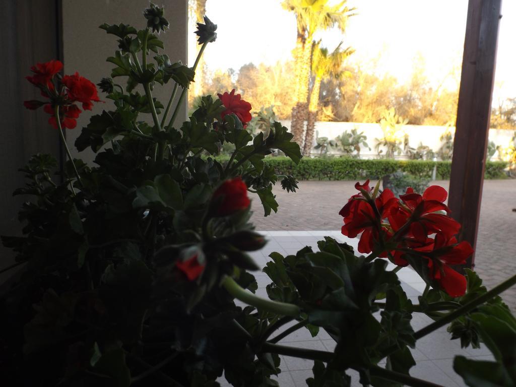 Villetta Del Salento Exclusive B&B Gallipoli Εξωτερικό φωτογραφία